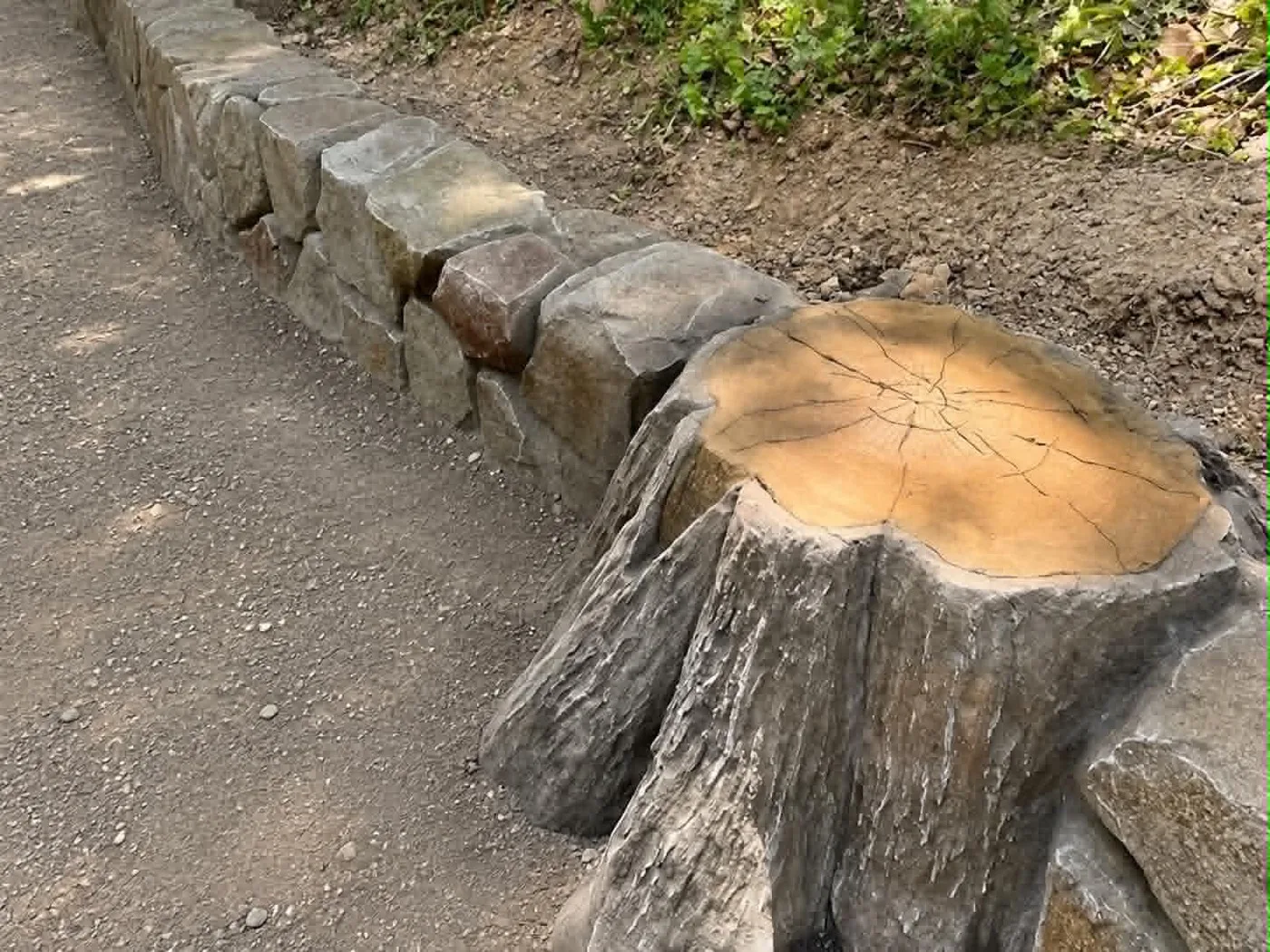 Hand-carved concrete tree-stump feature by WeCare Landscapes — sculpted wood grain, growth rings, and bark, beside a carved faux-rock border