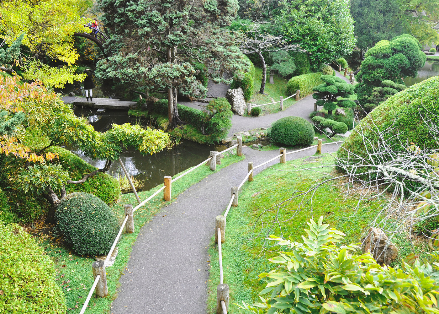 Garden path
