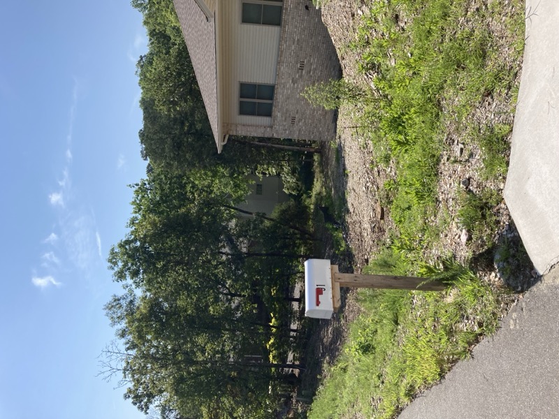 New-build front yard before — bare dirt, weeds and a fresh mailbox