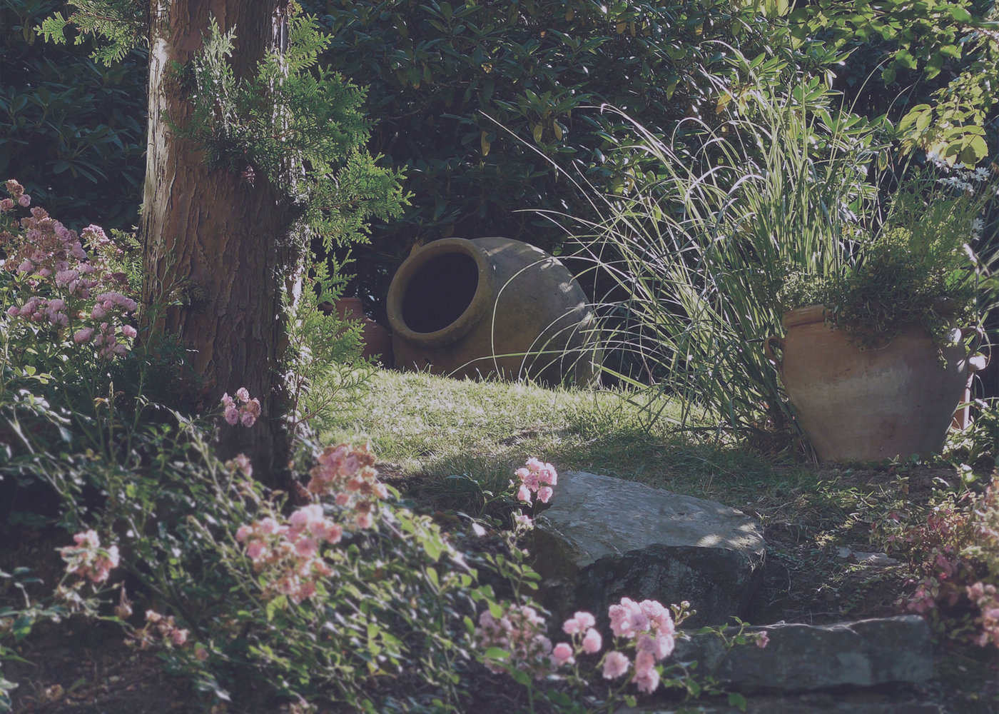 Garden with water feature